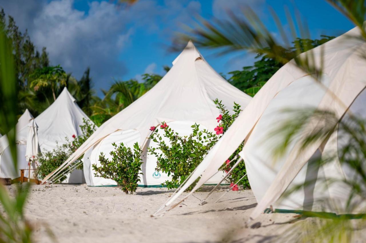 Wild Lotus Glamping Hotell Bolands Eksteriør bilde