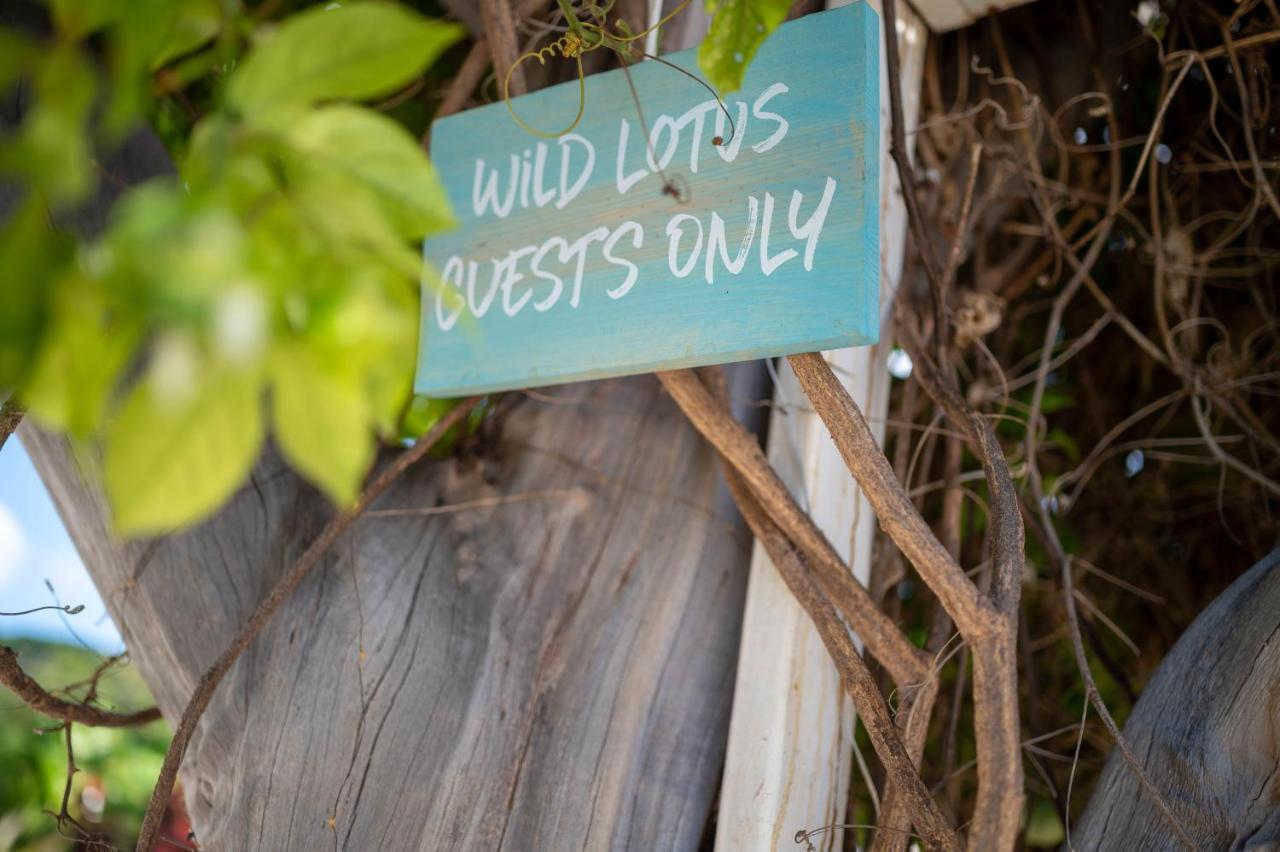 Wild Lotus Glamping Hotell Bolands Eksteriør bilde